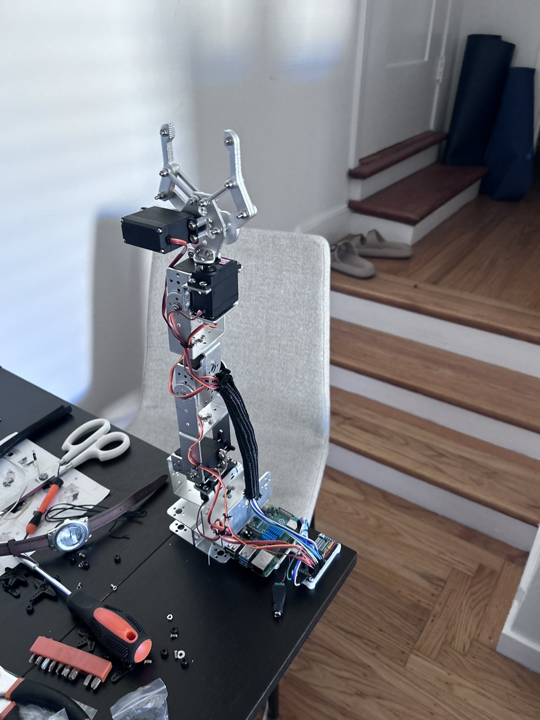 Servo robot arm with a gripper, wired to a Raspberry Pi